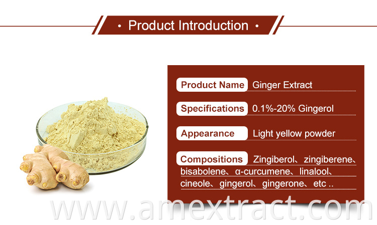 Ginger extract amulyn